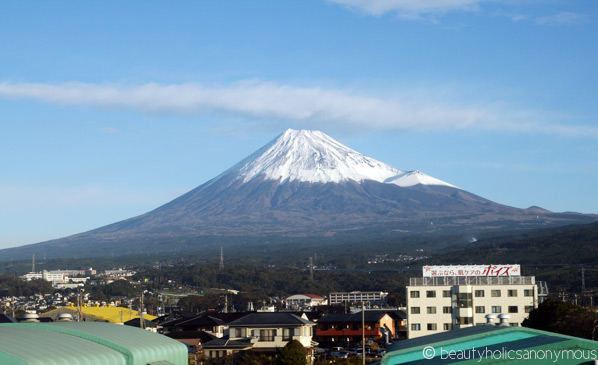 View of Mt Fuji from Shinkansen