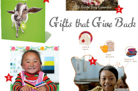 animal gifts that give back