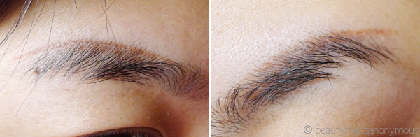 Eyebrow Embroidery