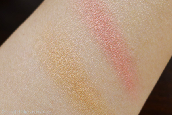 Diorskin's Nude Tan Paradise Duo in Coral Glow Swatches