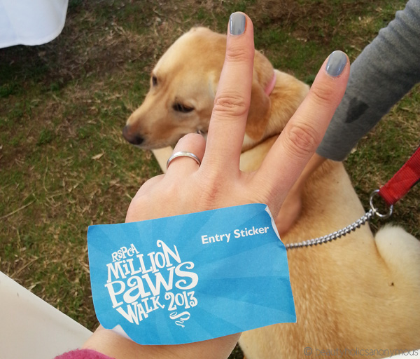 Million Paws Walk with Coco