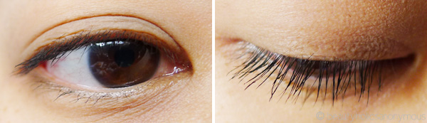 L'Oreal False Lash Telescopic