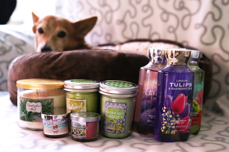 Bath and Body Works Shopping Haul