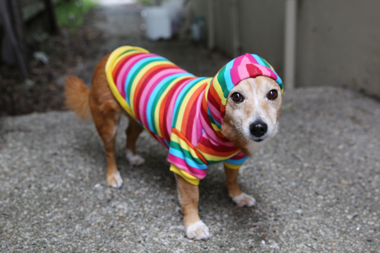 Janey in a rainbow hoodie