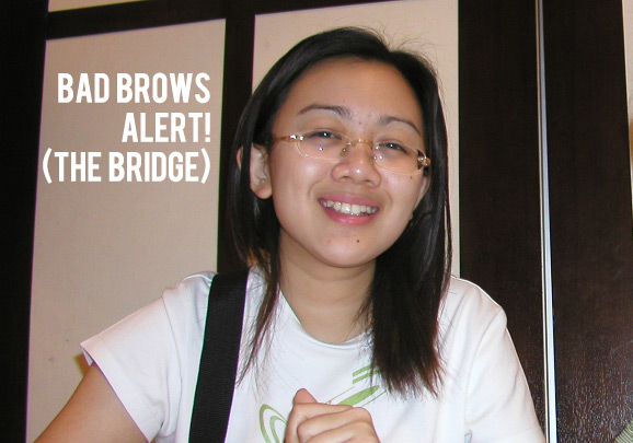 Bridge Brows