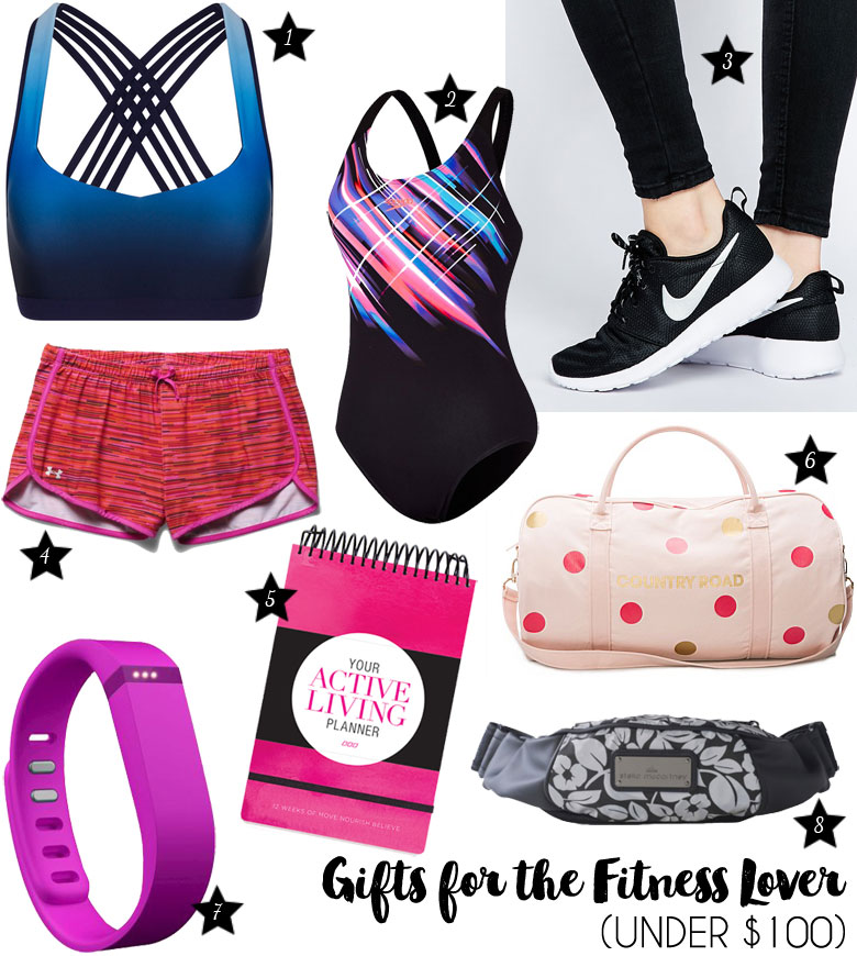 Christmas Gift Guide 2015 For The Fitness Lover Under $100