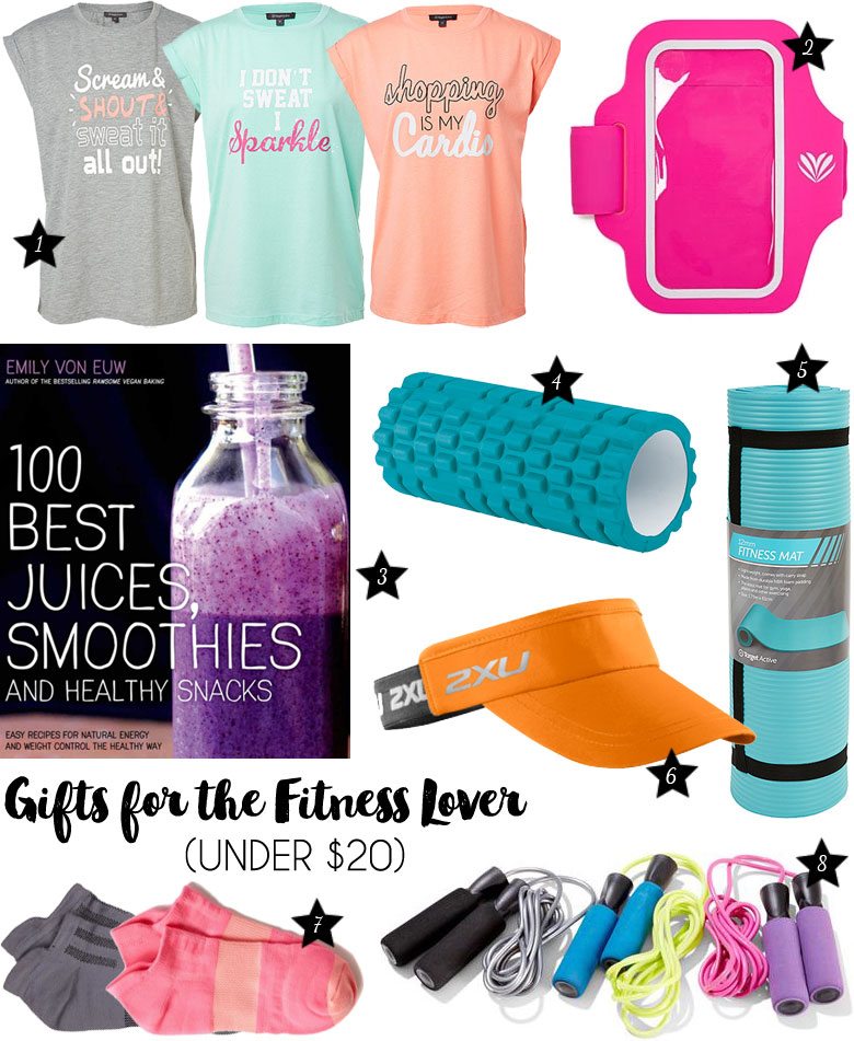 Christmas Gift Guide 2015 For The Fitness Lover Under $20